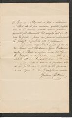 Nachlass Franz Steindachner, Brief von Giuliano Botterini an Franz Steindachner (17.06.1883), Inv.Nr. 46.01, Seite 3